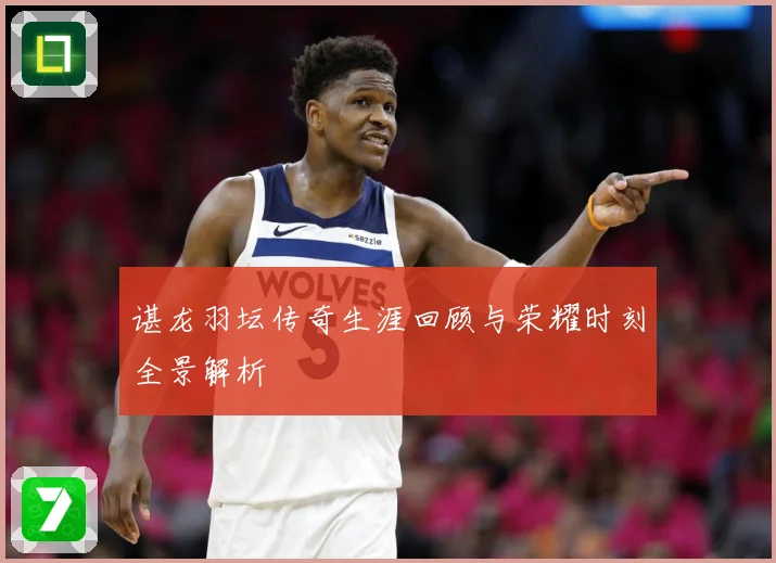 谌龙羽坛传奇生涯回顾与荣耀时刻全景解析